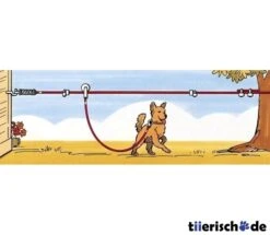 TRIXIE Auslaufleine Zum Spannen Mit Laufrolle, 15 M -Angebote Hundenass Futter Store auslaufleine zum spannen mit laufrolle 15 m 1381931858