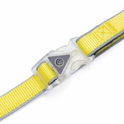 Beeztees Blinkende Hundeleine Parinca Premium -Angebote Hundenass Futter Store beeztees blinkende hundeleine parinca premium 1665076044