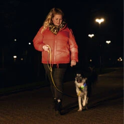 Beeztees Blinkende Hundeleine Parinca Premium -Angebote Hundenass Futter Store beeztees blinkende hundeleine parinca premium 1665076065