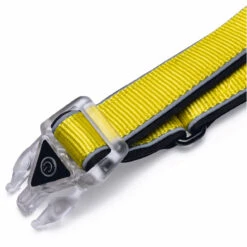 Beeztees Blinkende Hundeleine Parinca Premium -Angebote Hundenass Futter Store beeztees blinkende hundeleine parinca premium 1665076594