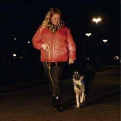 Beeztees Blinkendes Halsband Parinca Premium -Angebote Hundenass Futter Store beeztees blinkendes halsband parinca premium 1665072116