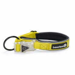 Beeztees Blinkendes Halsband Parinca Premium