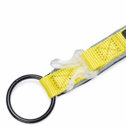 Beeztees Blinkendes Halsband Parinca Premium -Angebote Hundenass Futter Store beeztees blinkendes halsband parinca premium 1665072147