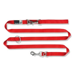 Curli Verstellbare Hundeleine Leine Nylon