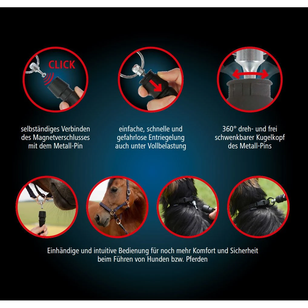 GoLeyGo Reflektierende Führleine 2.0 9 GoLeyGo Reflektierende Führleine 2.0 – Bild 9