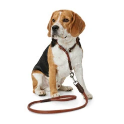 Hunter Führleine Round & Soft Cody Bisonleder -Angebote Hundenass Futter Store fuehrleine round soft cody bisonleder 1509132413