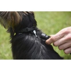 GoLeyGo Reflektierende Führleine 2.0 22 GoLeyGo Reflektierende Führleine 2.0 -Angebote Hundenass Futter Store goleygo reflektierende fuehrleine 2 0 1597762972