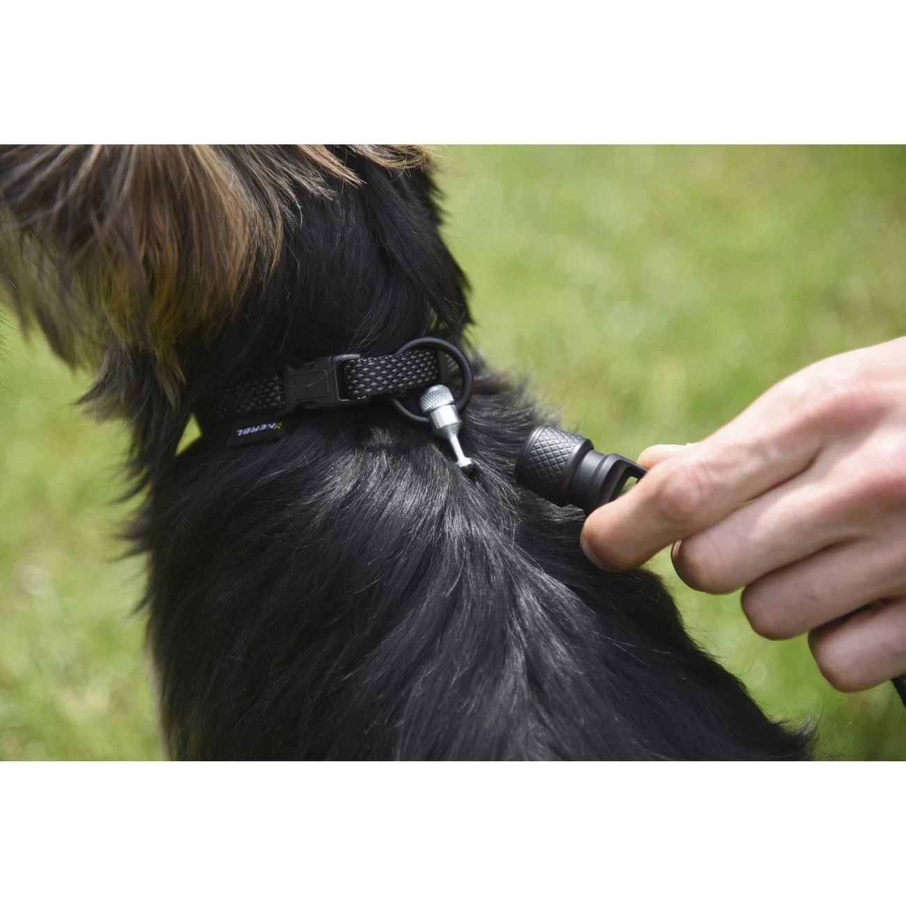 GoLeyGo Reflektierende Führleine 2.0 11 GoLeyGo Reflektierende Führleine 2.0 – Bild 11