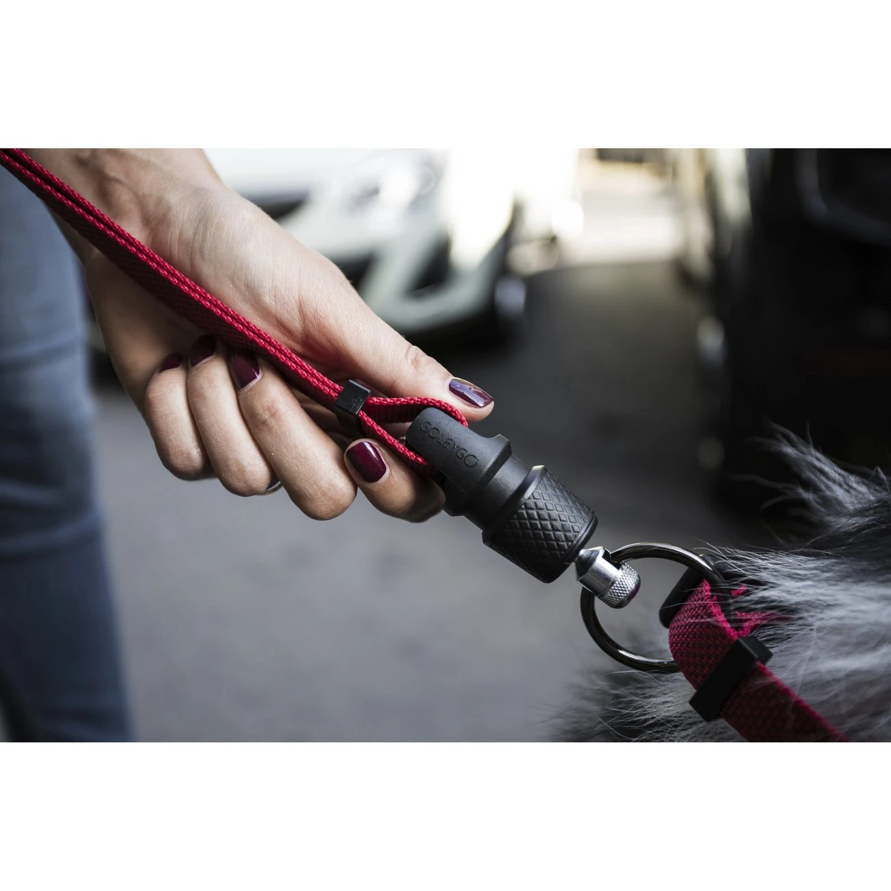 GoLeyGo Reflektierende Führleine 2.0 12 GoLeyGo Reflektierende Führleine 2.0 – Bild 12