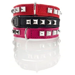 Hunter Halsband Rocky Petit Für Kleine Hunde