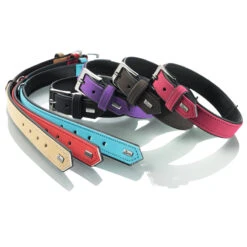 Hunter Hundehalsband Softie Kunstleder