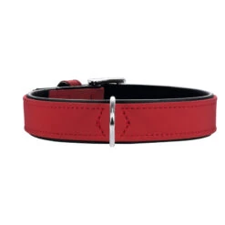 Hunter Hundehalsband Softie Kunstleder -Angebote Hundenass Futter Store halsband softie nubuk art leder 1446809208