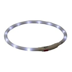 TRIXIE Hunde Leuchthalsband Leuchtring USB -Angebote Hundenass Futter Store hunde leuchthalsband leuchtring usb 11 x1000 y519