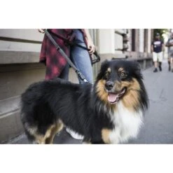 GoLeyGo Hunde Rundleine 2.0 Rope -Angebote Hundenass Futter Store hunde rundleine goleygo 2 0 rope 1570801249