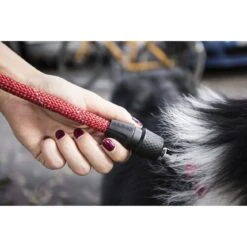 GoLeyGo Hunde Rundleine 2.0 Rope -Angebote Hundenass Futter Store hunde rundleine goleygo 2 0 rope 1570801271