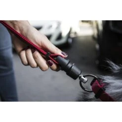 GoLeyGo Hundeleine Flat 2.0 -Angebote Hundenass Futter Store hundeleine flat goleygo 2 0 1570801181