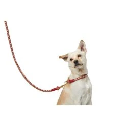 Hunter Führleine Tinnum -Angebote Hundenass Futter Store hunter fuehrleine tinnum 1584636498