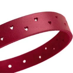 Hunter Halsband Aalborg Soul 28 Hunter Halsband Aalborg Soul -Angebote Hundenass Futter Store hunter halsband aalborg soul 1627644067