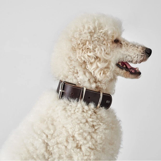 Hunter Halsband Aalborg Special Leder 5 Hunter Halsband Aalborg Special Leder – Bild 5