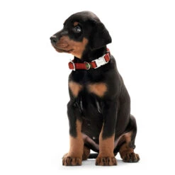 Hunter Halsband Vario Basic Alu Strong Verschluss -Angebote Hundenass Futter Store hunter halsband alu strong verschluss 1504542261