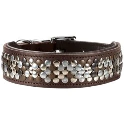 Hunter Halsband Arizona Up