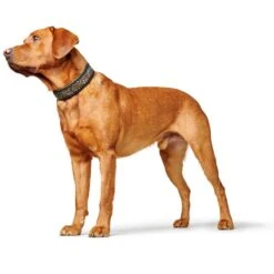 Hunter Halsband Arizona Up -Angebote Hundenass Futter Store hunter halsband arizona up 1676961922