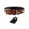 Hunter Halsband Cody Bisonleder