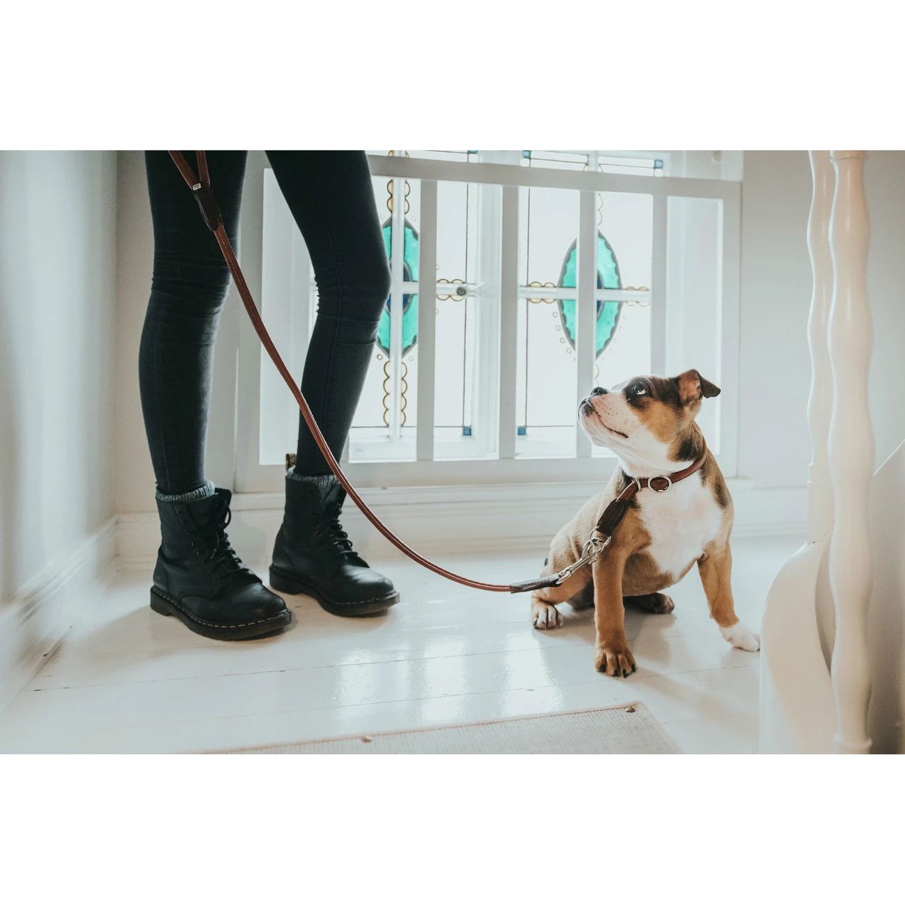 Hunter Halsband Cody Bisonleder 6 Hunter Halsband Cody Bisonleder – Bild 6