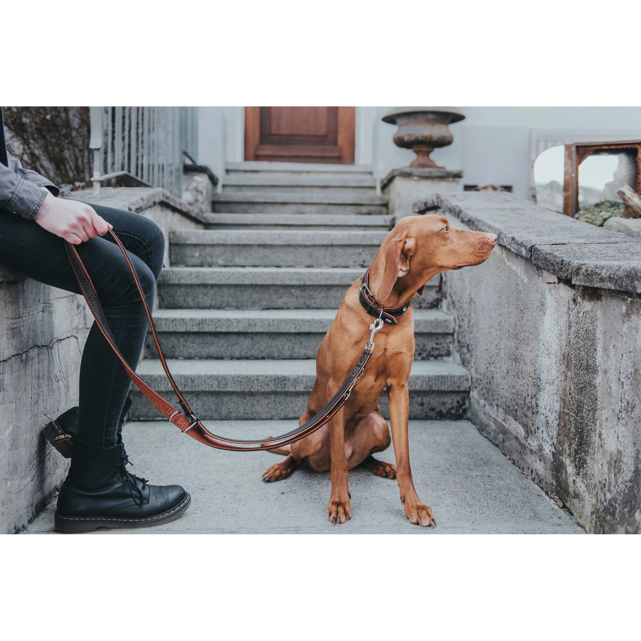 Hunter Halsband Cody Bisonleder 8 Hunter Halsband Cody Bisonleder – Bild 8