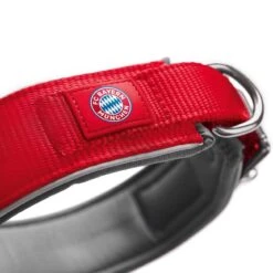 Hunter Halsband FC Bayern München 8 Hunter Halsband FC Bayern München -Angebote Hundenass Futter Store hunter halsband fc bayern muenchen 1627892616