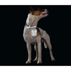 Hunter Halsband Hella Reflect Reflektierend 12 Hunter Halsband Hella Reflect Reflektierend -Angebote Hundenass Futter Store hunter halsband hella reflect reflektierend 1504881918