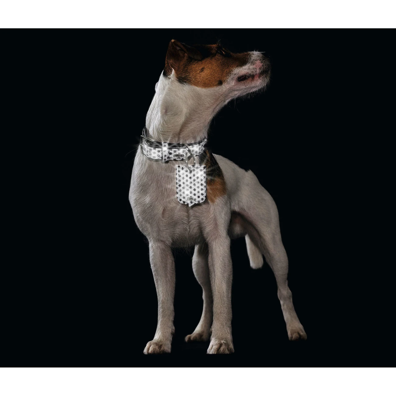 Hunter Halsband Hella Reflect Reflektierend 5 Hunter Halsband Hella Reflect Reflektierend – Bild 5