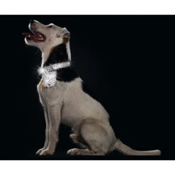 Hunter Halsband Hella Reflect Reflektierend 13 Hunter Halsband Hella Reflect Reflektierend -Angebote Hundenass Futter Store hunter halsband hella reflect reflektierend 1504881939