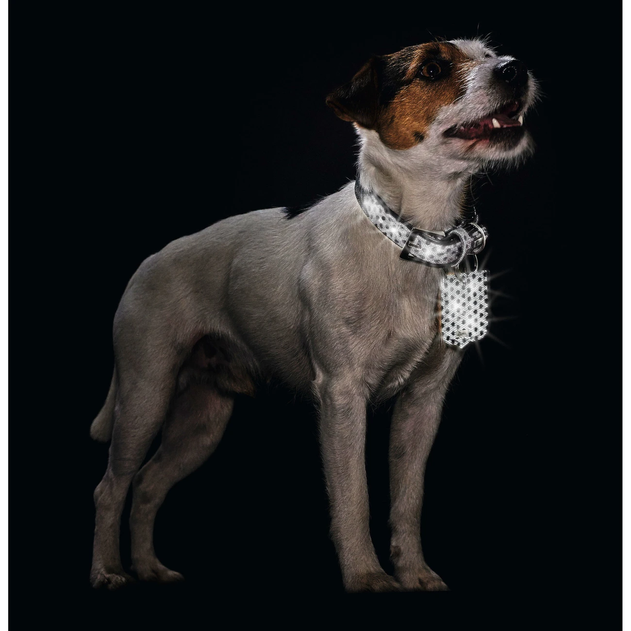 Hunter Halsband Hella Reflect Reflektierend 7 Hunter Halsband Hella Reflect Reflektierend – Bild 7