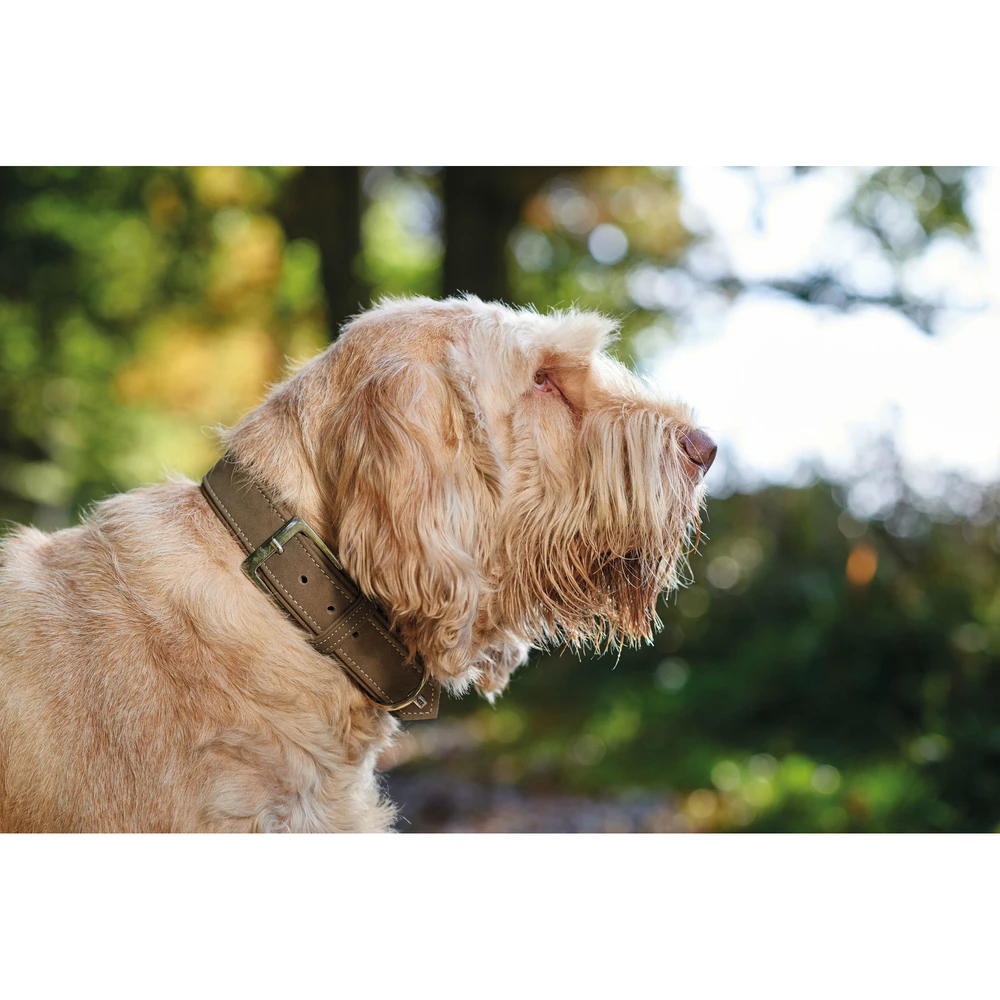 Hunter Halsband Hunting Aus Leder 5 Hunter Halsband Hunting Aus Leder – Bild 5