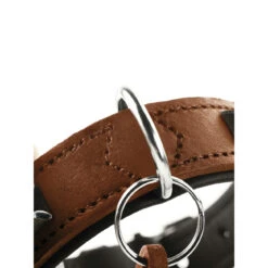 Hunter Halsband Larvik Softvollrindleder -Angebote Hundenass Futter Store hunter halsband larvik softvollrindleder 1535290807