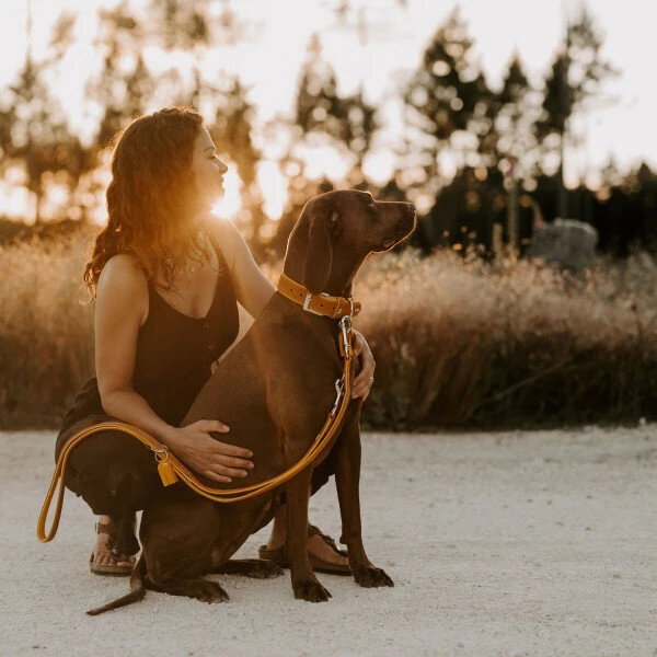 Hunter Halsband Lucca Leder 6 Hunter Halsband Lucca Leder – Bild 6