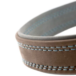 Hunter Halsband Lucca Leder 22 Hunter Halsband Lucca Leder -Angebote Hundenass Futter Store hunter halsband lucca leder 1662757844