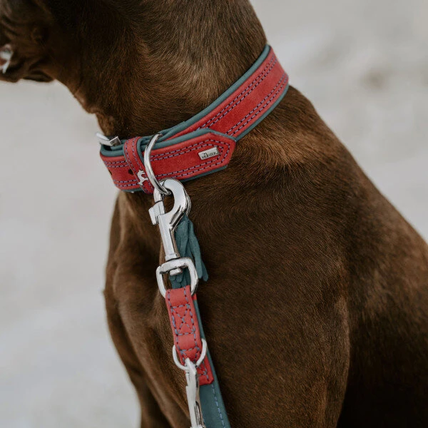 Hunter Halsband Lucca Leder 12 Hunter Halsband Lucca Leder – Bild 12