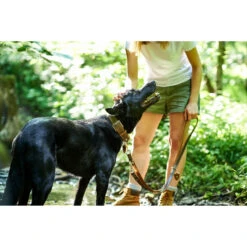 Hunter Halsband Tara Juchtenleder -Angebote Hundenass Futter Store hunter halsband tara juchtenleder 1531125160