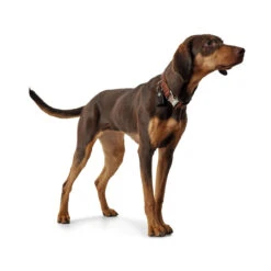 Hunter Halsung Cody Alu-Strong Bison Leder -Angebote Hundenass Futter Store hunter halsung cody alu strong bison leder 1509127475