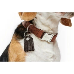 Hunter Halsung Cody Alu-Strong Bison Leder -Angebote Hundenass Futter Store hunter halsung cody alu strong bison leder 1509127509