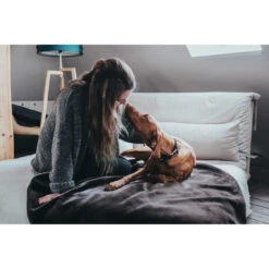 Hunter Halsung Cody Alu-Strong Bison Leder -Angebote Hundenass Futter Store hunter halsung cody alu strong bison leder 1509127533