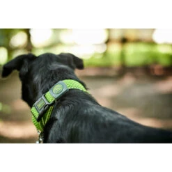 Hunter Halsung Hilo Vario Plus -Angebote Hundenass Futter Store hunter halsung hilo vario plus 1533753834