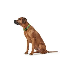 Hunter Halsung Hilo Vario Plus -Angebote Hundenass Futter Store hunter halsung hilo vario plus 1533753846