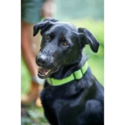 Hunter Halsung Hilo Vario Plus -Angebote Hundenass Futter Store hunter halsung hilo vario plus 1533753867