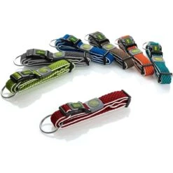Hunter Halsung Hilo Vario Plus