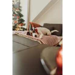 Hunter Hundedecke Astana -Angebote Hundenass Futter Store hunter hundedecke astana 1663756407