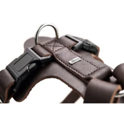 Hunter Hundegeschirr Aalborg Leder 30 Hunter Hundegeschirr Aalborg Leder -Angebote Hundenass Futter Store hunter hundegeschirr aalborg leder 1557401510