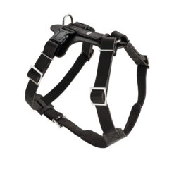 Hunter Hundegeschirr Aalborg Leder 26 Hunter Hundegeschirr Aalborg Leder -Angebote Hundenass Futter Store hunter hundegeschirr aalborg leder 1557401525